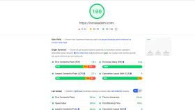 inovakademi.com Litespeed Optimizasyonu