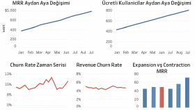 SaaS Gelir ve Kullanıcı Analiz Dashboardu