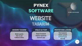 react frontend, python backend website yaparım