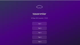 web tasarımı yaparım