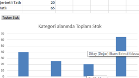 E-Ticaret Destek 