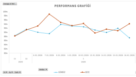 Performans Grafikleri