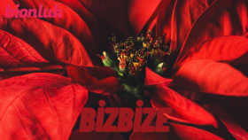 Bizbize Adlı Şarkı Çalışmam