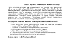 İş örneğim