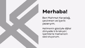 profesyonel çeviri hizmeti sunarım