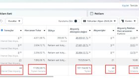 10,95 ROAS ile Yüksek Getiri ve Güçlü Satış Performansı