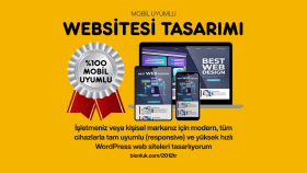 hızlı ve mobil uyumlu WordPress web siteleri yaparım