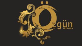 sizin için vektörel logolar çiziyorum