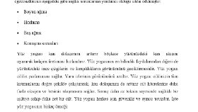 Yüz Yogası- Blog