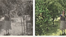 uzman olduğum fotoğraf düzenleme konusun da yardımcı olurum