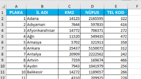veri girişlerini hızlı ve dikkatli şekilde yaparım