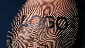 premium vektörel ve sistematik logo tasarlıyorum