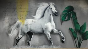duvar çizimi ve mural art alanında çalışmalar yapıyorum
