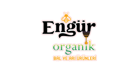 markanız için profesyonel logo tasarlarım