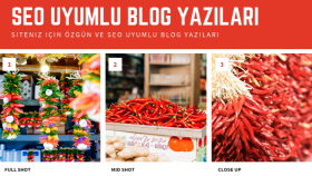 blogger words