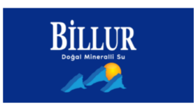 Billur Su - E-Ticaret Sitesi ve Reklam Yönetimi
