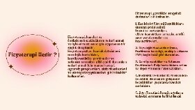 Çeşitli Konular Hakkında Farklı Metinler Yazıyorum