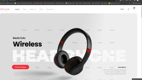 Website 