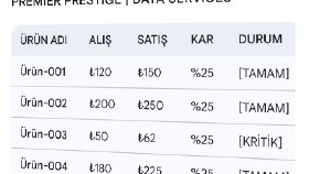 Profesyonel Excel Veri Yönetimi ve Dinamik Raporlama