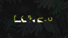 Profesyonel Müzik Videosu Kurgusu, Görsel Efekt ve Motion Graphics