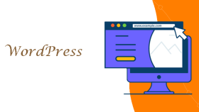 WordPress üzerinden profesyonel website yapabilirim