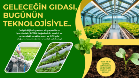 İş yeri cam bölme giydirme görseli 