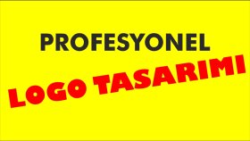 sizin için profesyonel logo çalışması yapabilirim