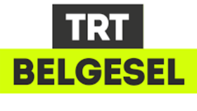 profesyonel seslendirme yapıyorum