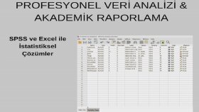 verilerinizi analiz ederek profesyonel rapor sunarım