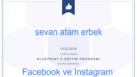 Facebook ve İnstagram Reklamları
