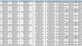 SPSS programında analiz- Rapor