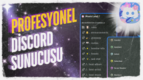 profesyonel Discord sunucusu tasarlıyorum