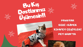 pet shop sosyal medya çalışması