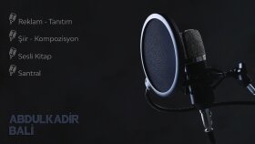 Seslendirme