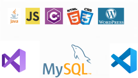 size özel web sitenizi yapabilirim