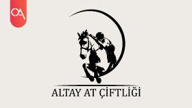 Altay At Çifliği