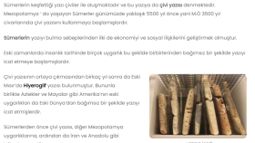 Melisa - SEO Uyumlu ve Özgün Makale Yazarlığı