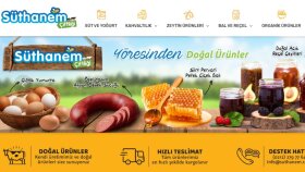 Wordpress E-Tİcaret Sitesi