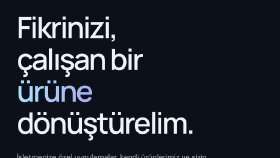 Web Sitesi, Özel Yazılım ve Yapay Zekâ Çözümleri