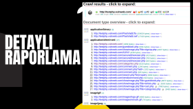 Web Siteniz İçin Sızma Testi 