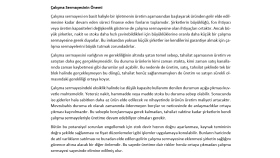 Özgün Araştırma Metni Yazımı