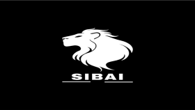 Siyah&Beyaz - Logo Tasarım