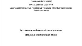 Tez Çalışması