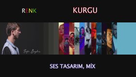 çekilen videoları profesyonel bir şekilde kurgulayabilirim