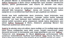 her çeşit metni sizin için yazabilirim ve düzenleyebilirim