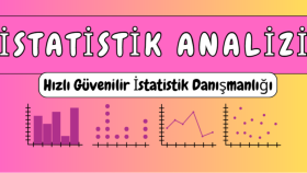 SPSS ile veri analizi yaparım