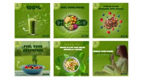 Vegan Marka – Sosyal Medya Tasarım Konsepti