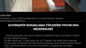 Web Site Tasarımı