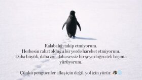 uzman olduğum logo tasarlama konusunda sizlere yardım ederim