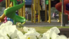 çektiğim ve kurguladığım videolar